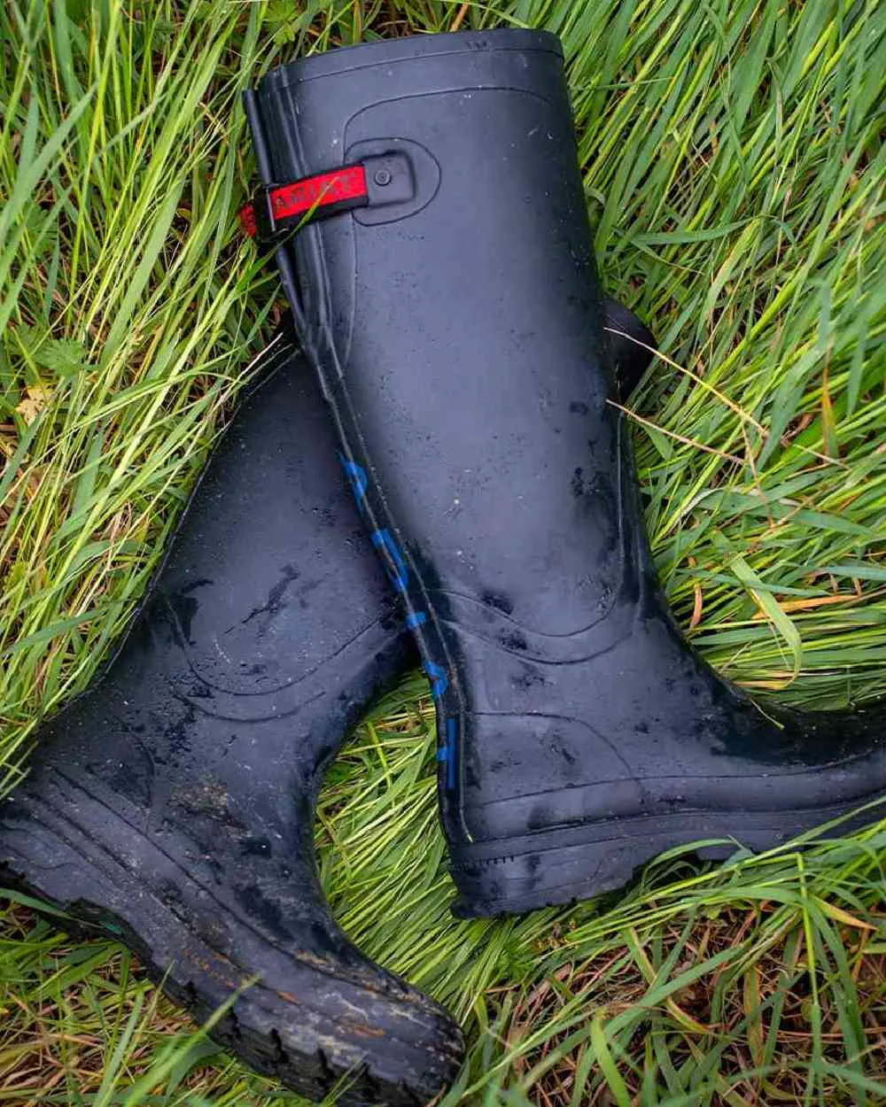 Ariat Womens Kelmarsh Wellington Boots