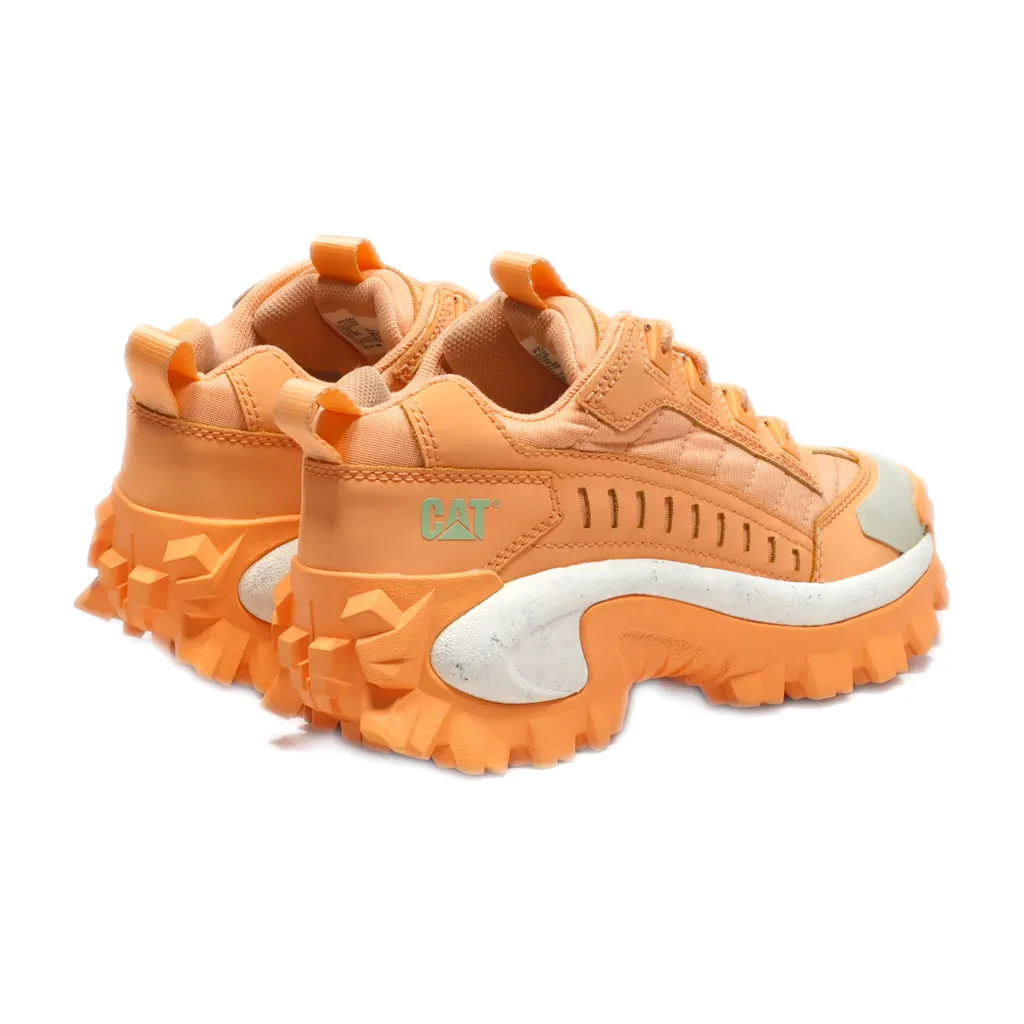 Cat Sport Shoes Leather Orange Colour For Women